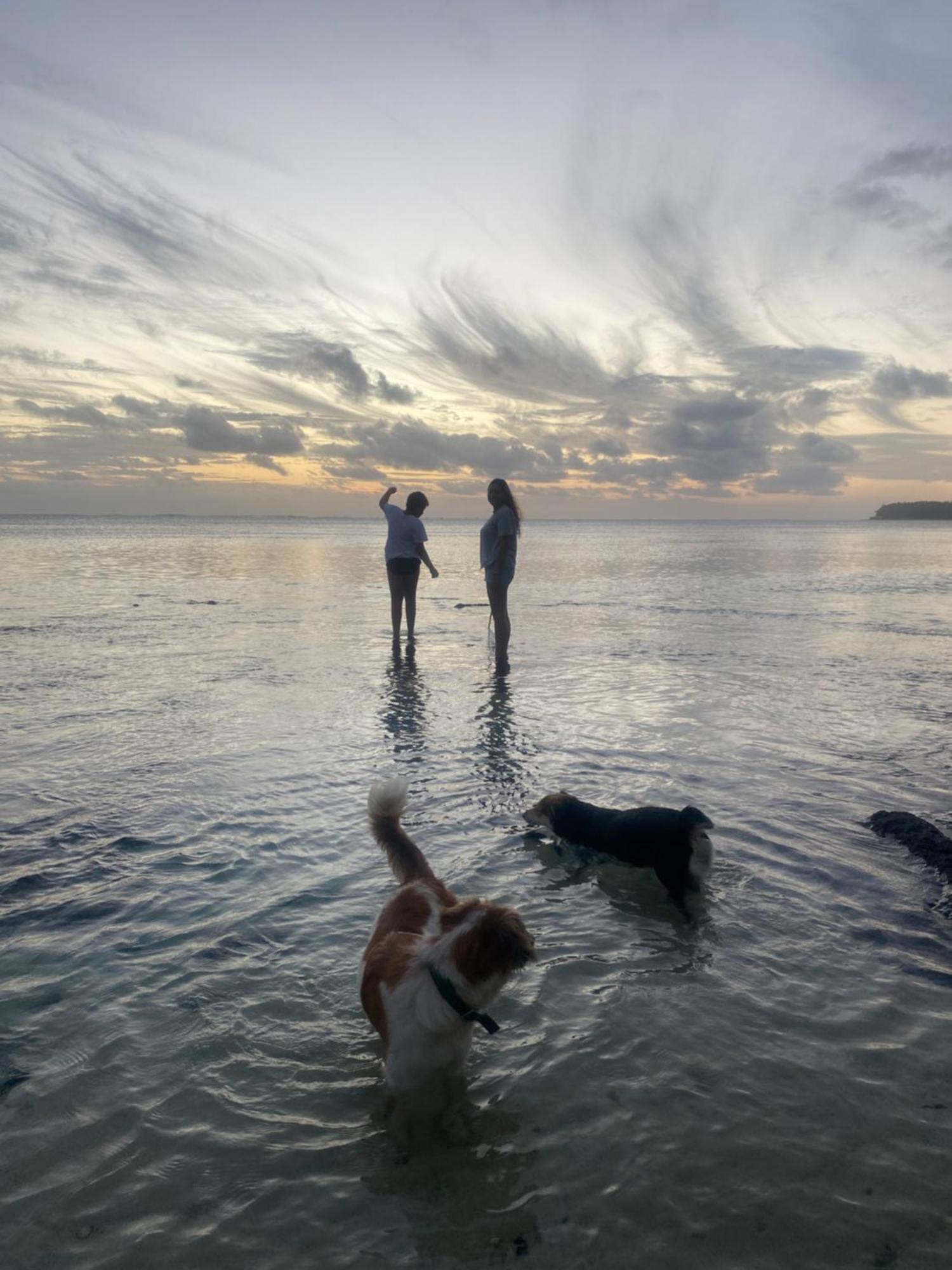 Vacation Beach House South Of Mauritius - Riambel Luaran gambar